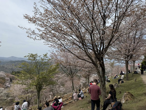 666836463_1606945051439705_49991803 666836463_1606945051439705_49991803