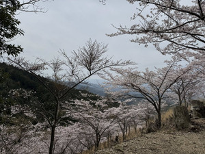 667035927_1606944844773059_20177782 667035927_1606944844773059_20177782