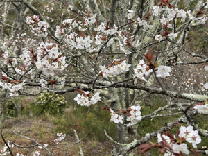 667807888_1606944888106388_31368639 667807888_1606944888106388_31368639