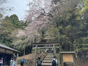 668502050_1606945424773001_57329253 668502050_1606945424773001_57329253