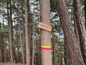 668518949_1606945198106357_86793278 668518949_1606945198106357_86793278