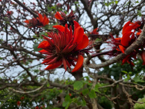 658223400_1603232975144246_79090646