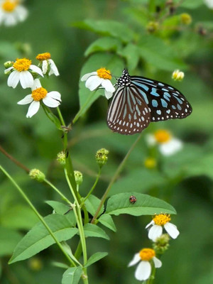 660451007_1603232938477583_40773511