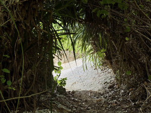 660479705_1603232738477603_76474546