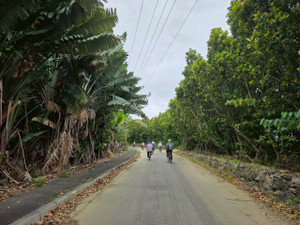 661285304_1603232801810930_34243648