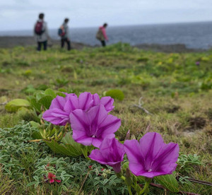 661843344_1603232901810920_83145868