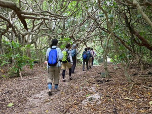 662063617_1603232768477600_73580330