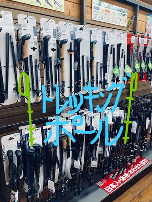 トレッキングポールの新入荷