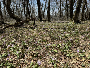 671405650_1618704263597117_630063_2