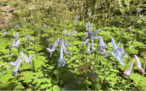 671692308_1618704330263777_16021042