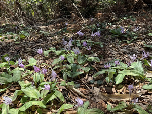 672057277_1618704400263770_56785731