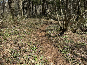 672060093_1618704050263805_63771225