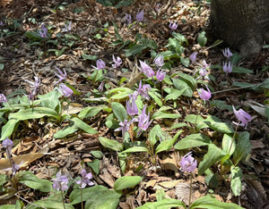 672657197_1618703980263812_35926970