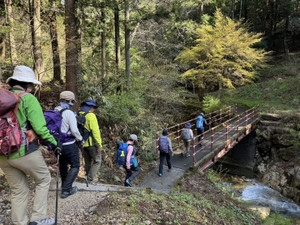 672676355_1618704133597130_60400844