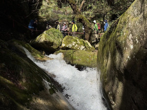 673542603_1618704120263798_38555552