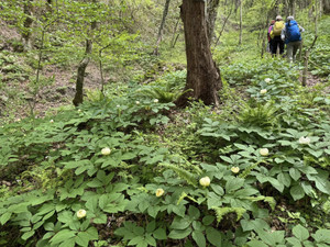 675804700_1623576013109942_32641681