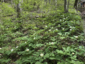 676303854_1623575763109967_26574175