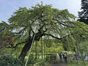 677929873_1623575826443294_66416950