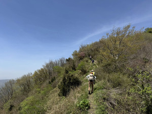 678227774_1623575703109973_49220408