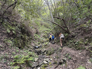 678284886_1623575906443286_30527653