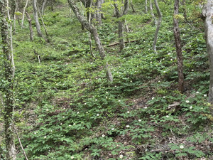 679057725_1623575876443289_39261556