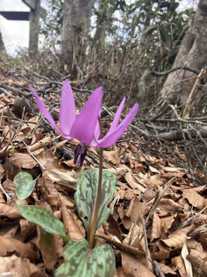 672670439_1622115529922657_60889835