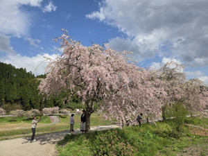 672683314_1622115476589329_36750024