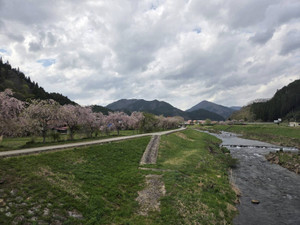 672684846_1622115553255988_59428192