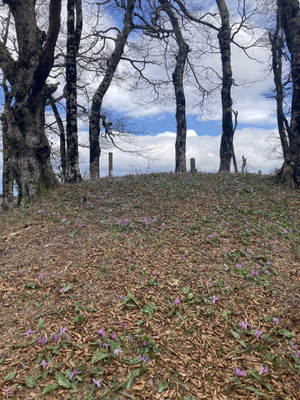 672687018_1622115373256006_83606317