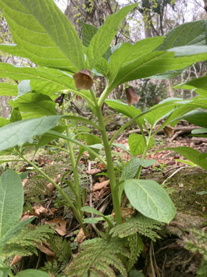 674271670_1622114589922751_26624220