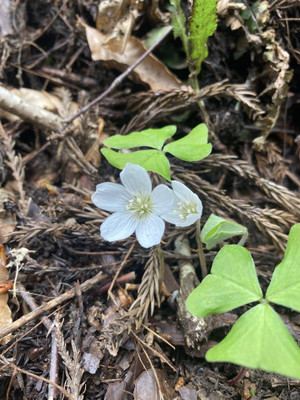 674744375_1622115296589347_16180499