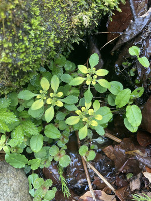 675115885_1622115603255983_86161817