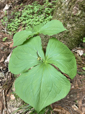 675540280_1622115023256041_89250689