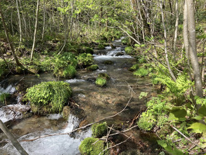 675473680_1625797146221162_79418696