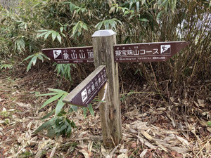 678637595_1625797422887801_33598673