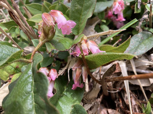 678644063_1625797226221154_87633921