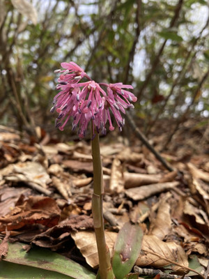 678686339_1625797179554492_46827249