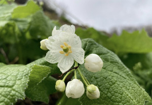 678756357_1625797482887795_26132159