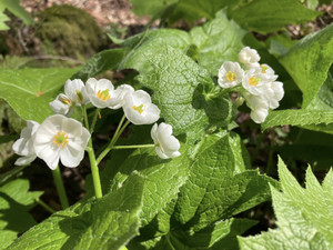 679038643_1625797192887824_81885588