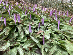 679540125_1625797126221164_70334169