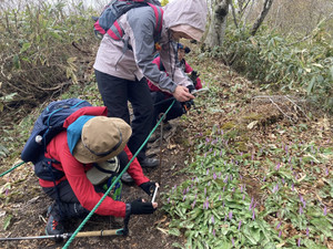 679540125_1625797266221150_57529306