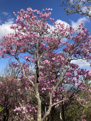 692872615_1641020881365455_37161333