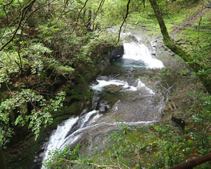 P7010030