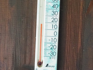 P7010058