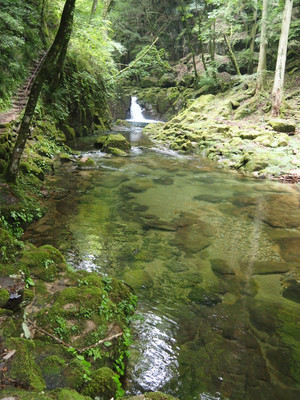 P7010066