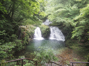 P7010083