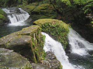 P7010088