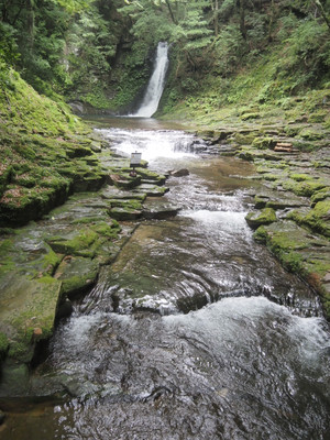 P7010101