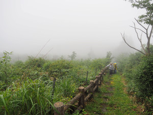 P7080005_1