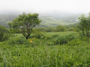 P7080053_1
